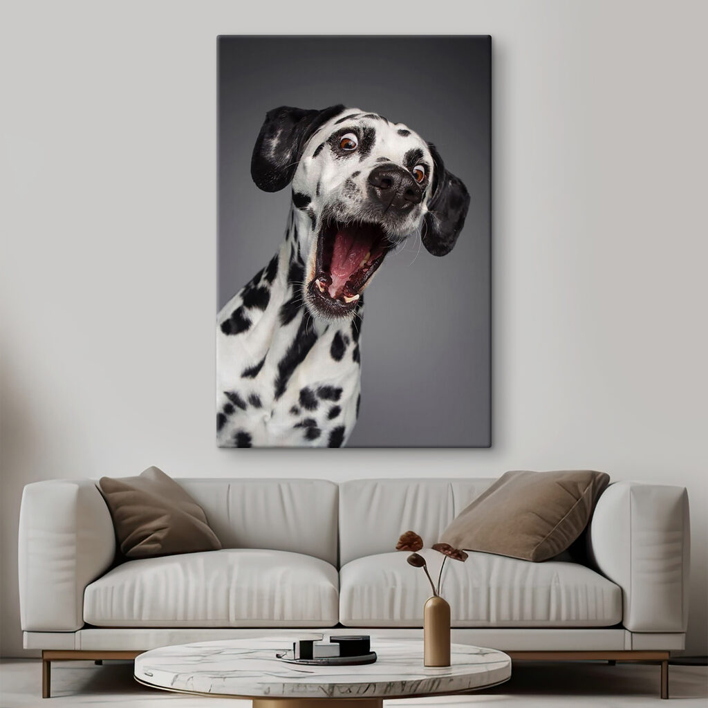 A dog with its mouth open A dog with its mouth open