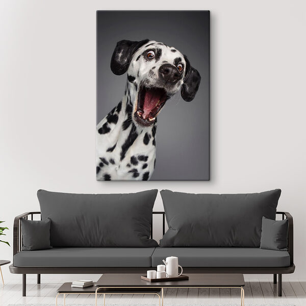 A dog with its mouth open A dog with its mouth open