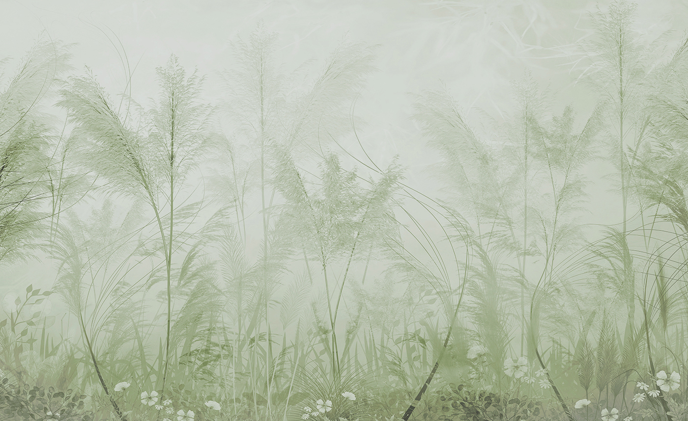 A foggy field of grass A foggy field of grass