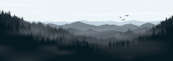 Krajina hôr a stromov Krajina hôr a stromov