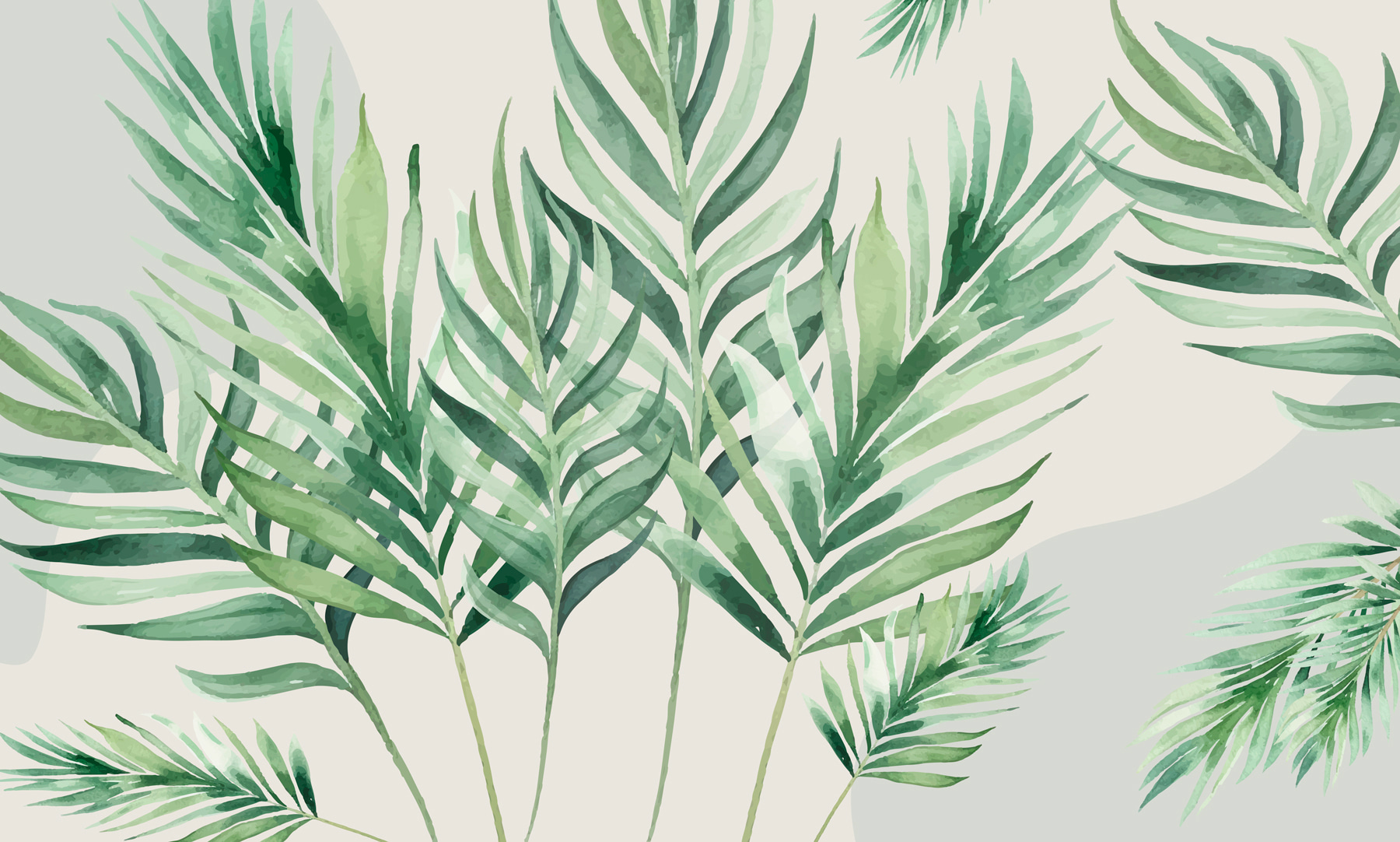 A close up of a plant A close up of a plant