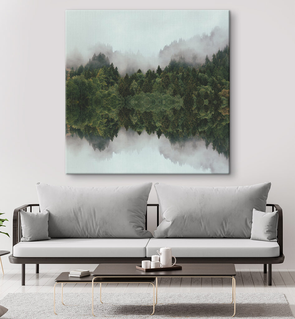 A reflection of trees in the water A reflection of trees in the water