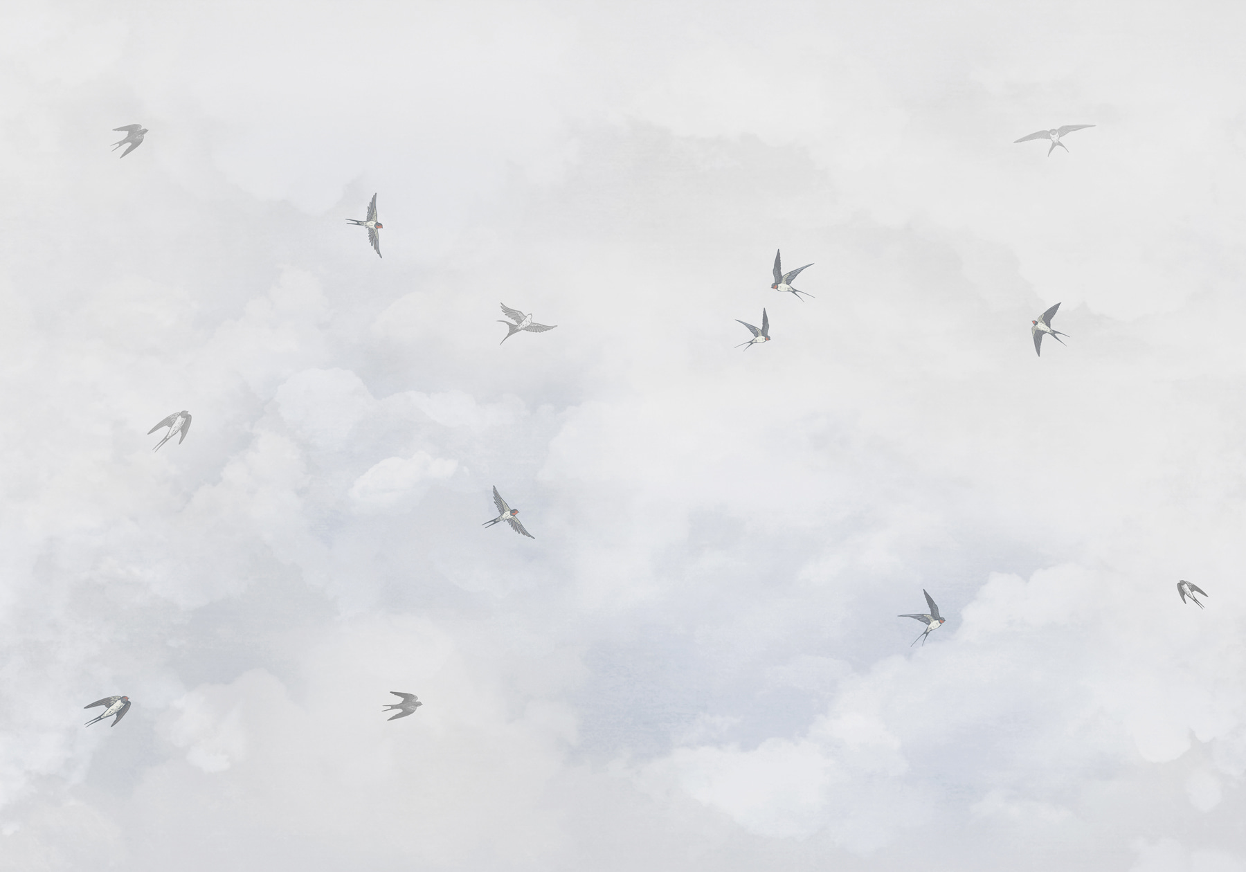 w00526p - Skupina vtákov letiacich na oblohe - tegory