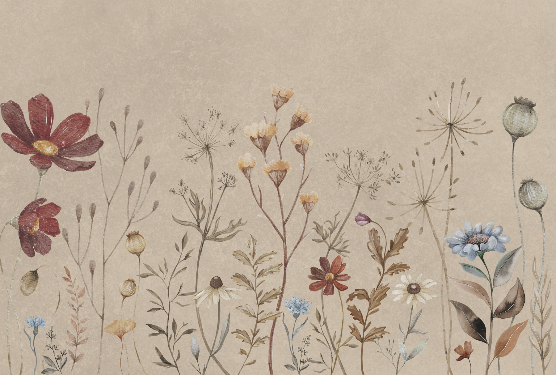 w00580p - Kvety zblízka - tegory