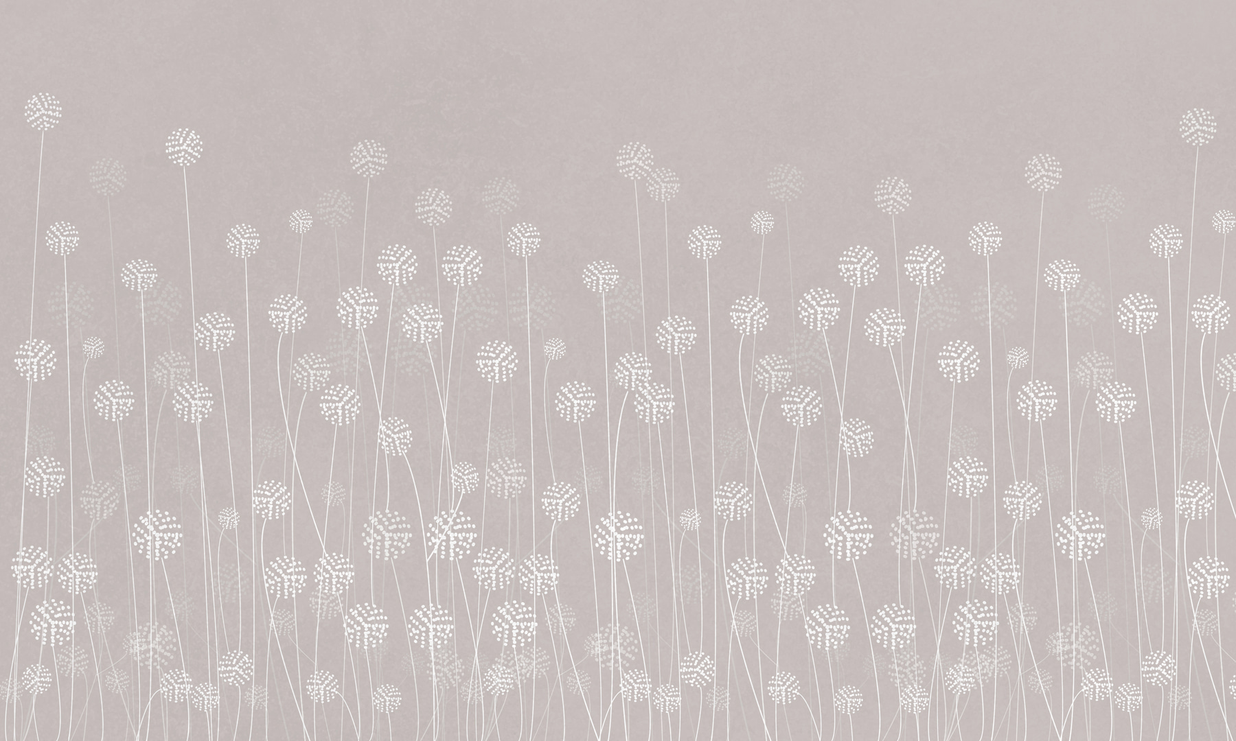 w00613v2p - Biele kvety na sivom pozadí - tegory