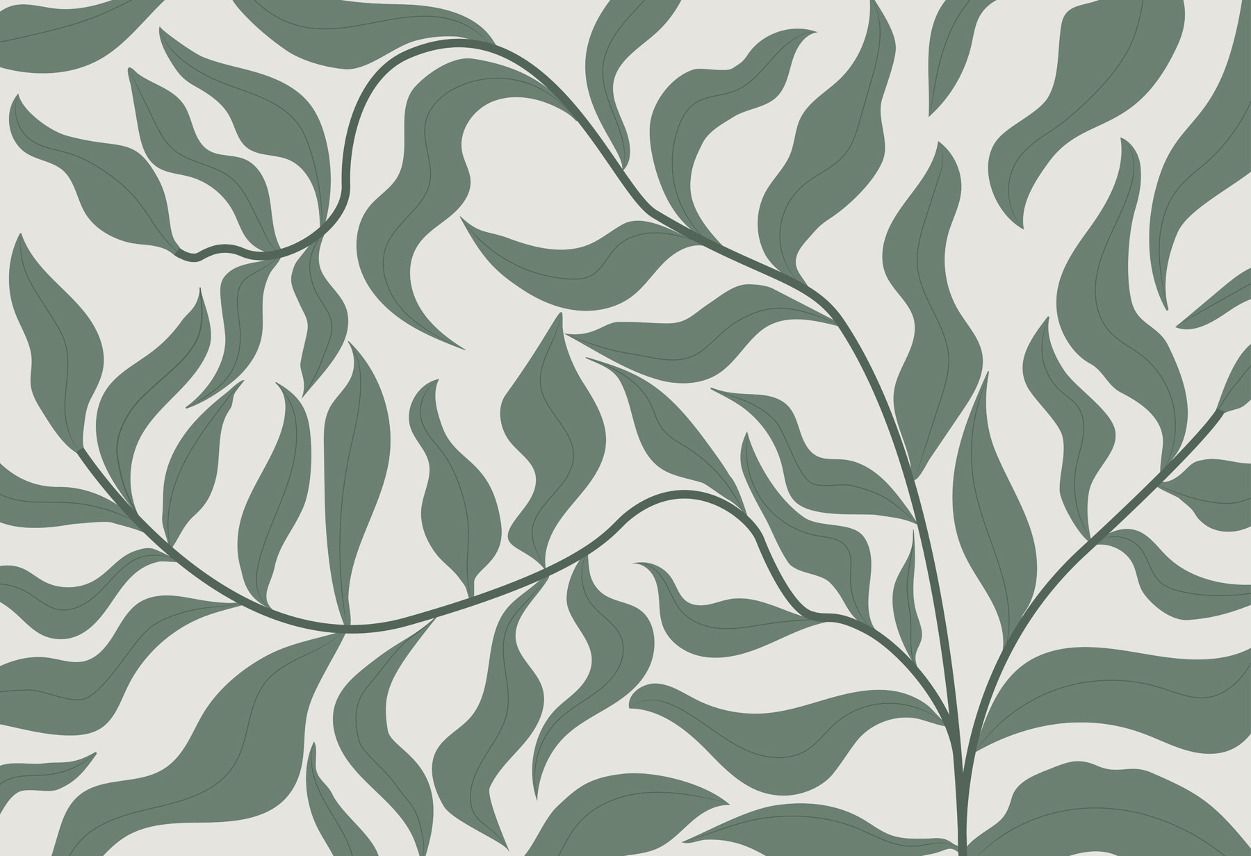 Zelené listy na bielom pozadí w00629p - Zelené listy na bielom pozadí - tegory