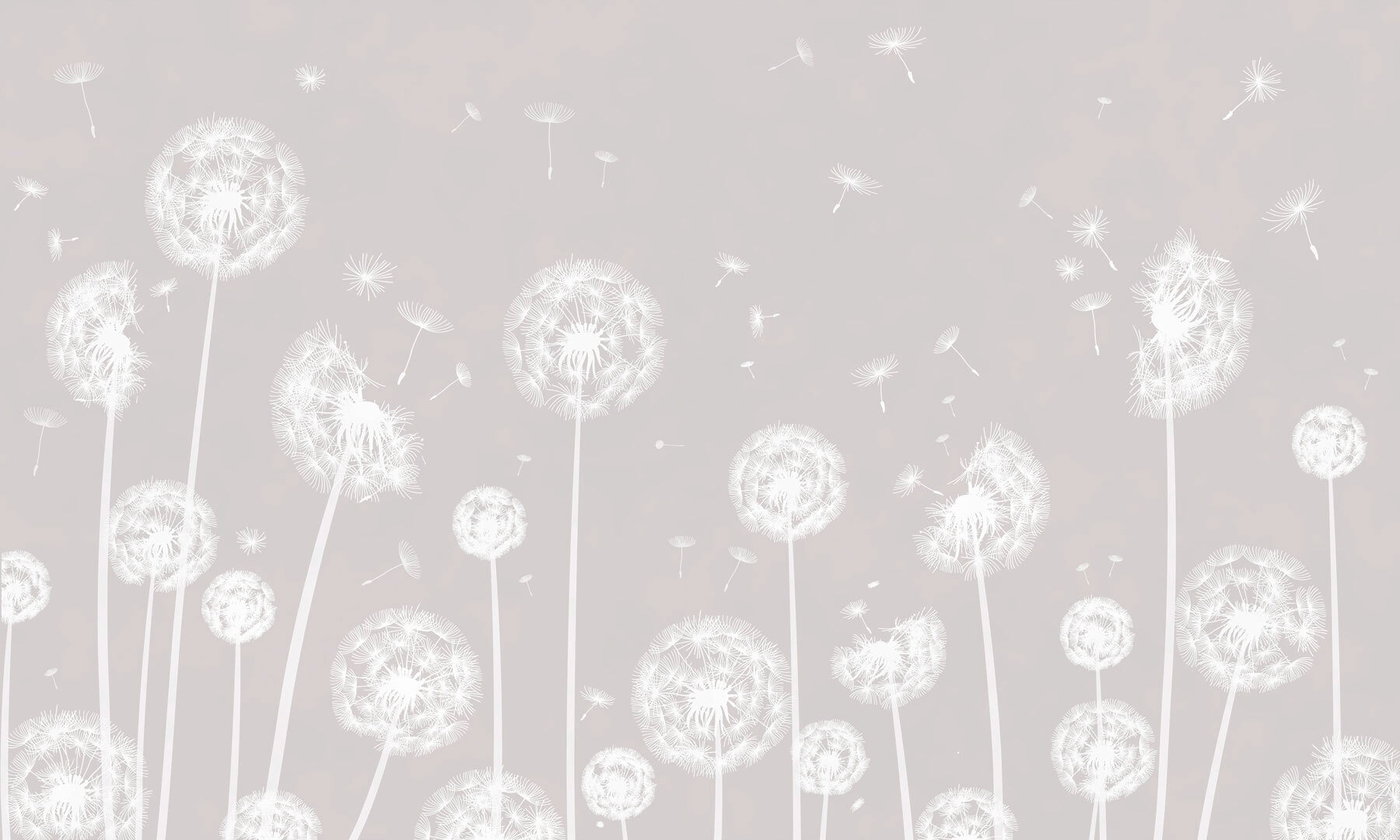 w00657p - Biele púpavy poletujúce vo vzduchu - tegory