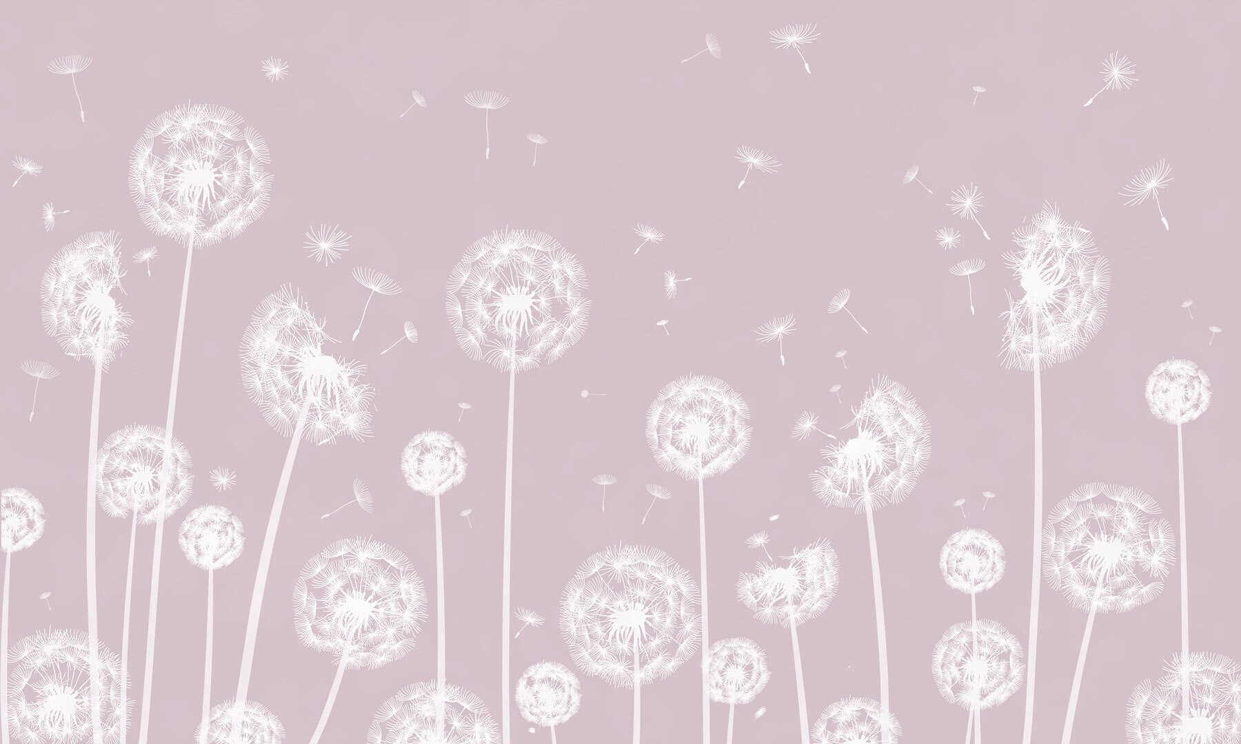 w00657v1p - Biele púpavy poletujúce vo vzduchu - tegory