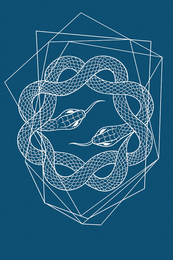 A white snake in a circle A white snake in a circle