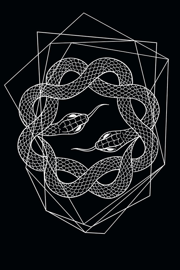 A white snake in a circle A white snake in a circle