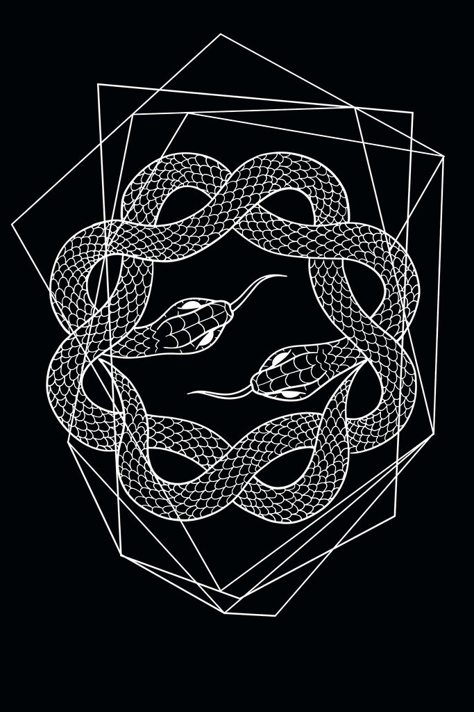 A white snake in a circle A white snake in a circle