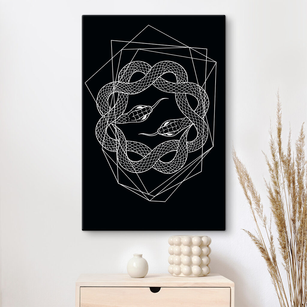 A white snake in a circle A white snake in a circle