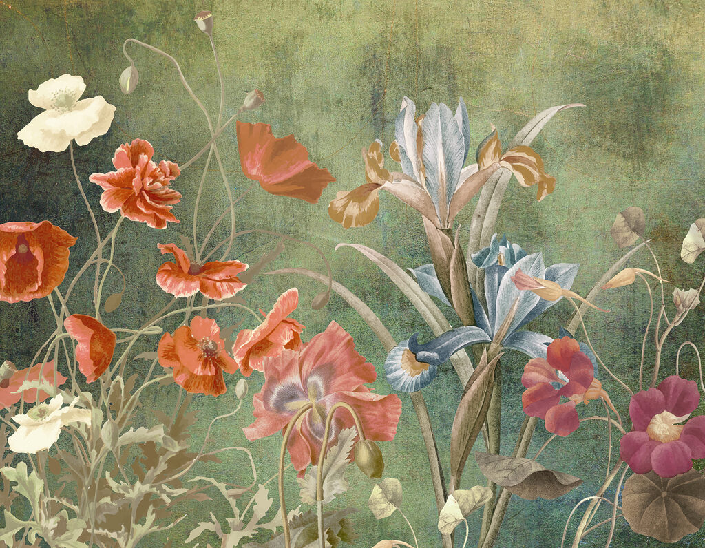 w00698p 1024x796 - Kvety zblízka - tegory