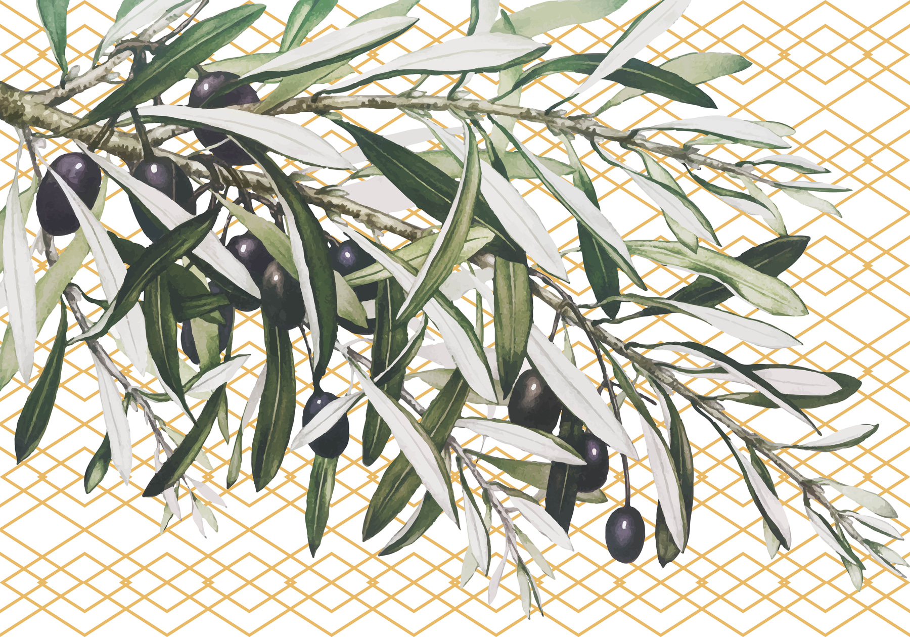 A branch with black olives and leaves A branch with black olives and leaves
