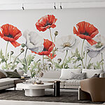 Fototapety Kvety zblízka