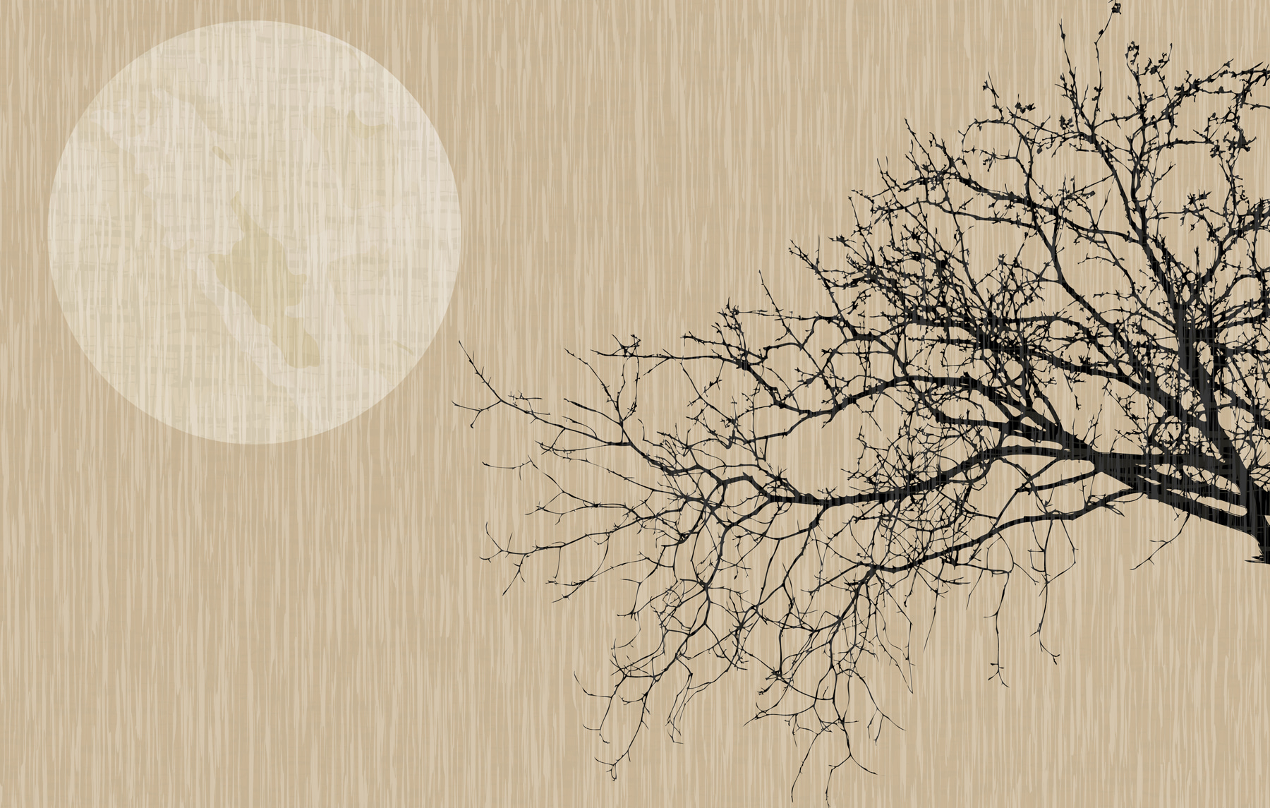 A tree with no leaves A tree with no leaves