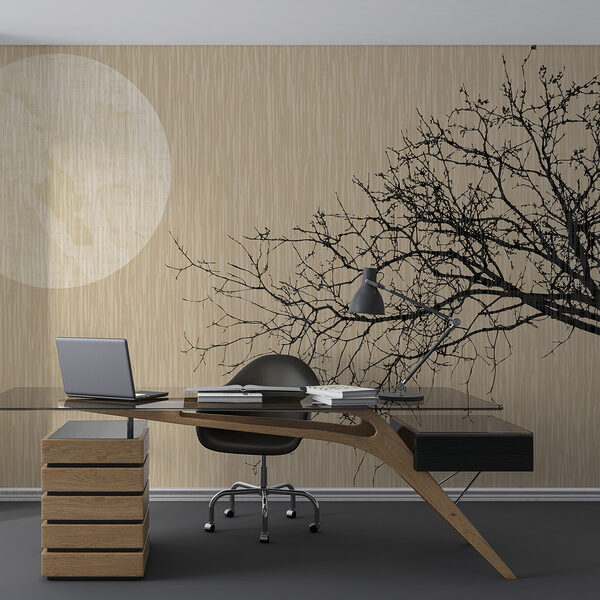 A tree with no leaves A tree with no leaves