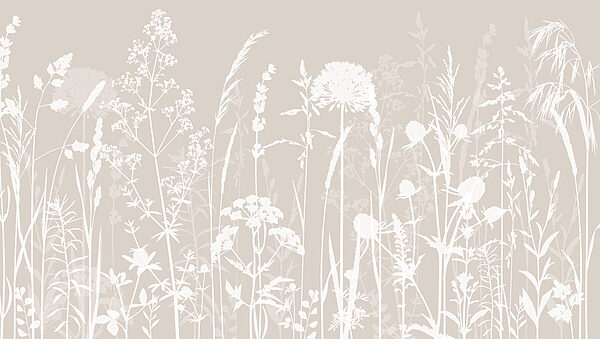 A white silhouettes of flowers A white silhouettes of flowers