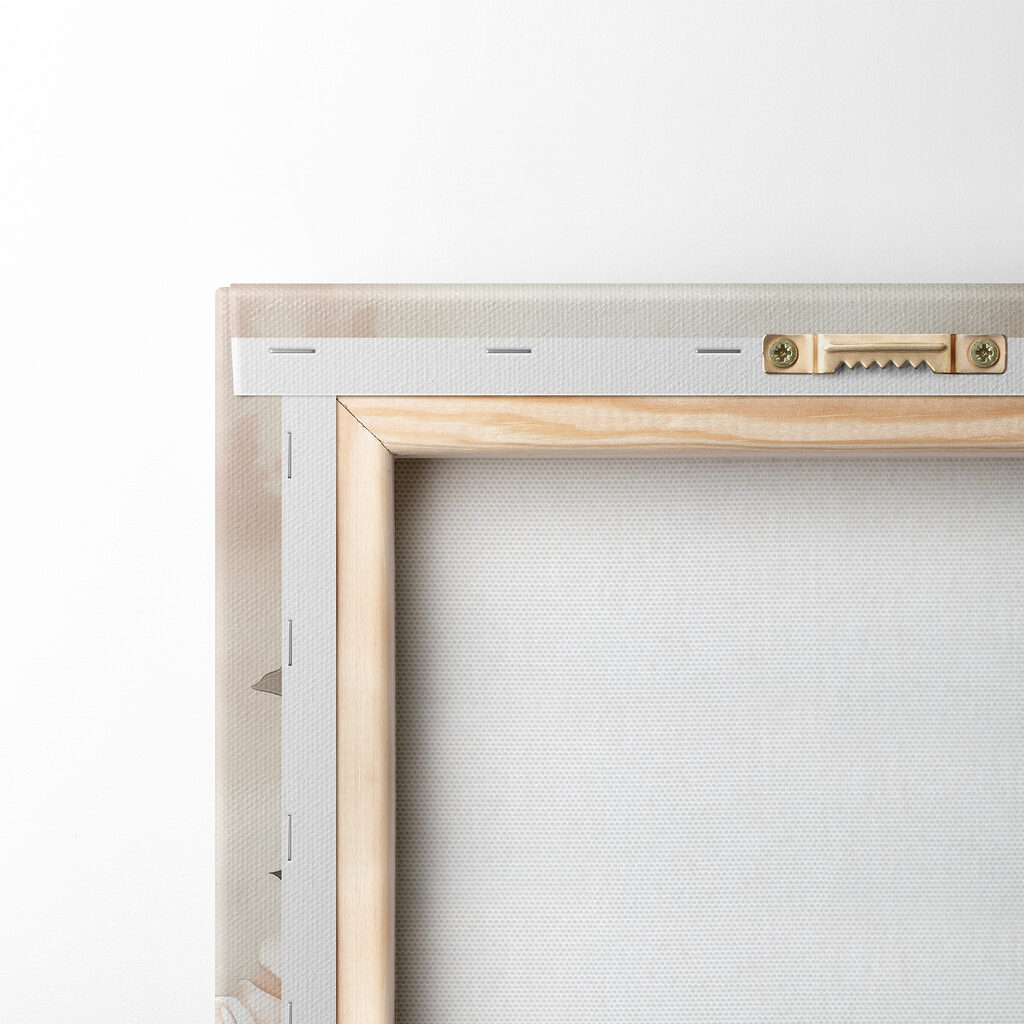 A group of flowers on a white background