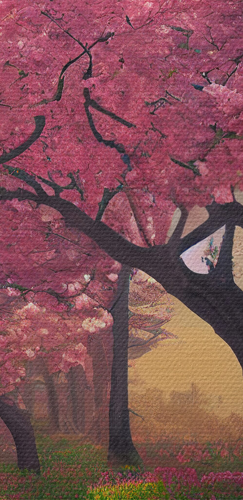 A field of pink flowers with trees