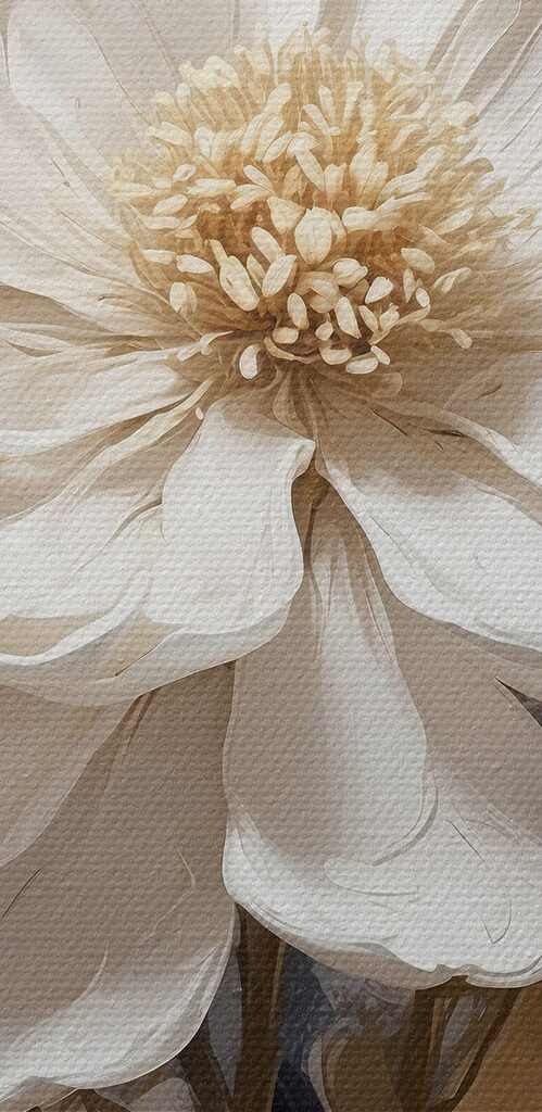 A white flower with brown leaves A white flower with brown leaves