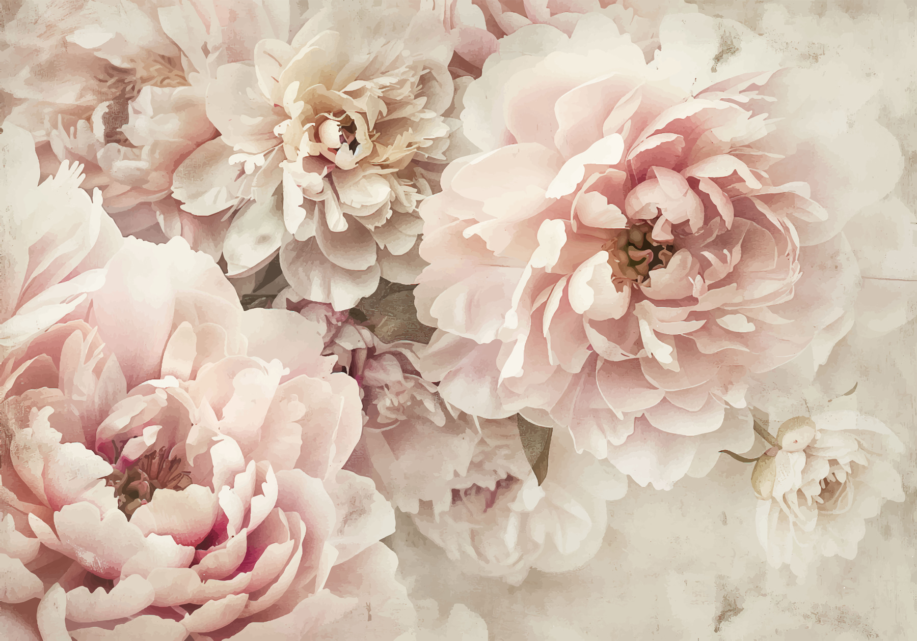 A group of pink flowers A group of pink flowers