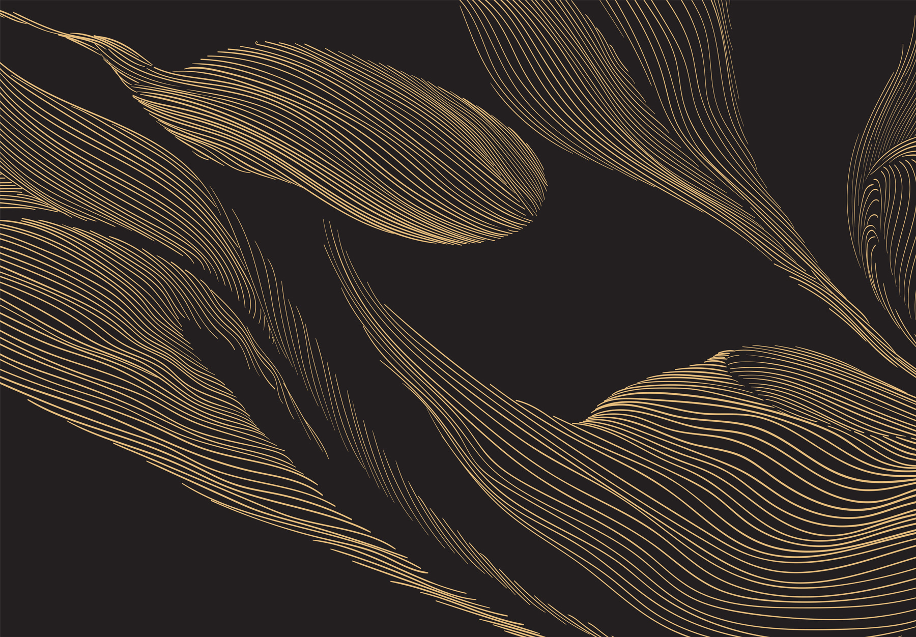 A black background with yellow lines