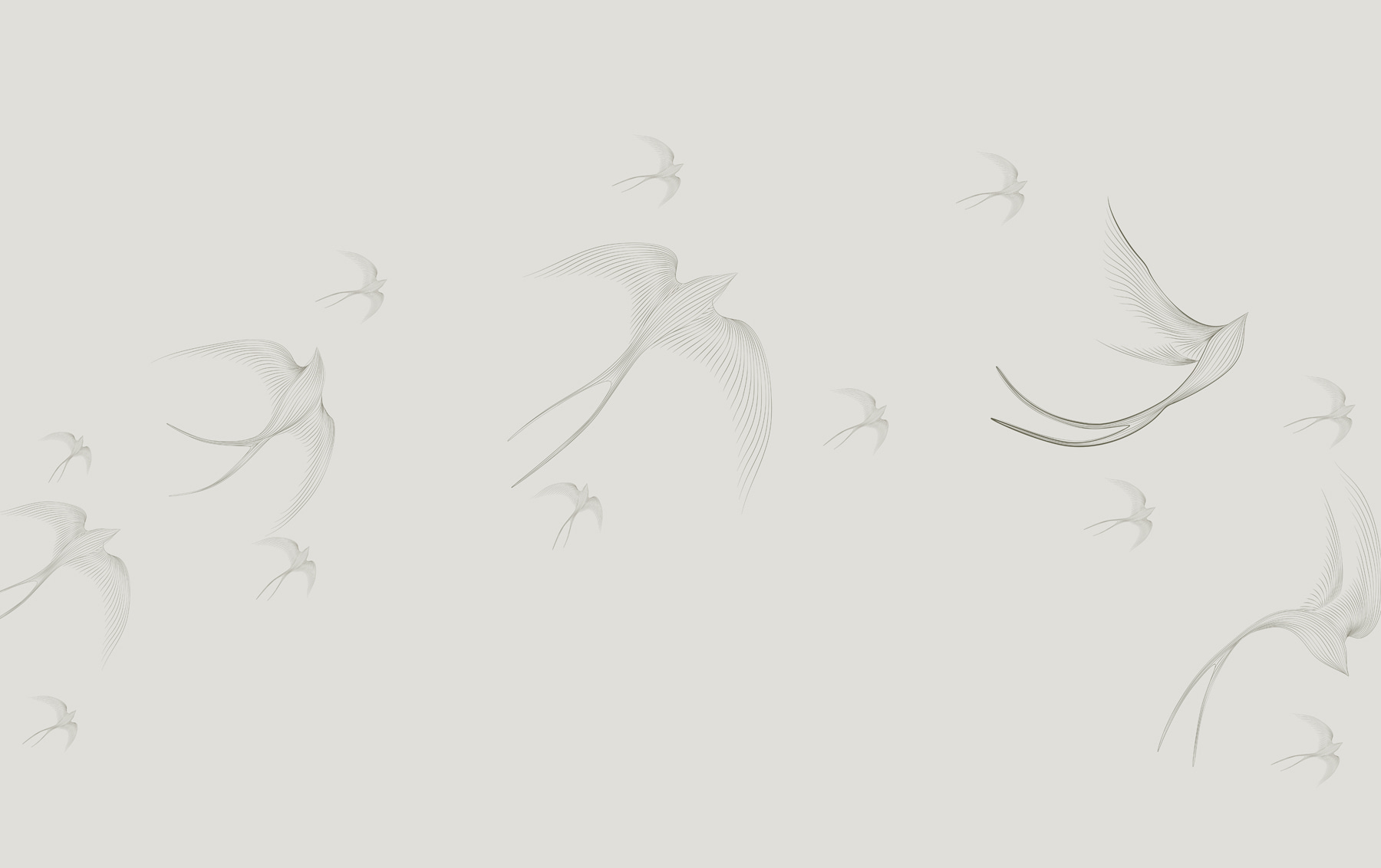 A group of birds flying A group of birds flying