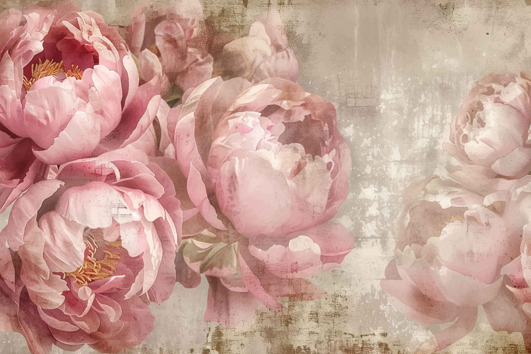 A group of pink flowers A group of pink flowers