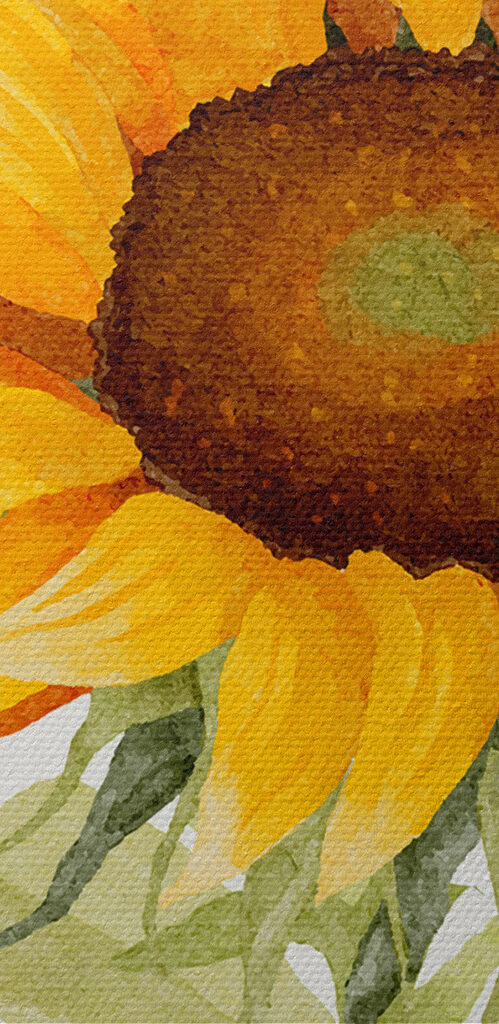A close up of a sunflower