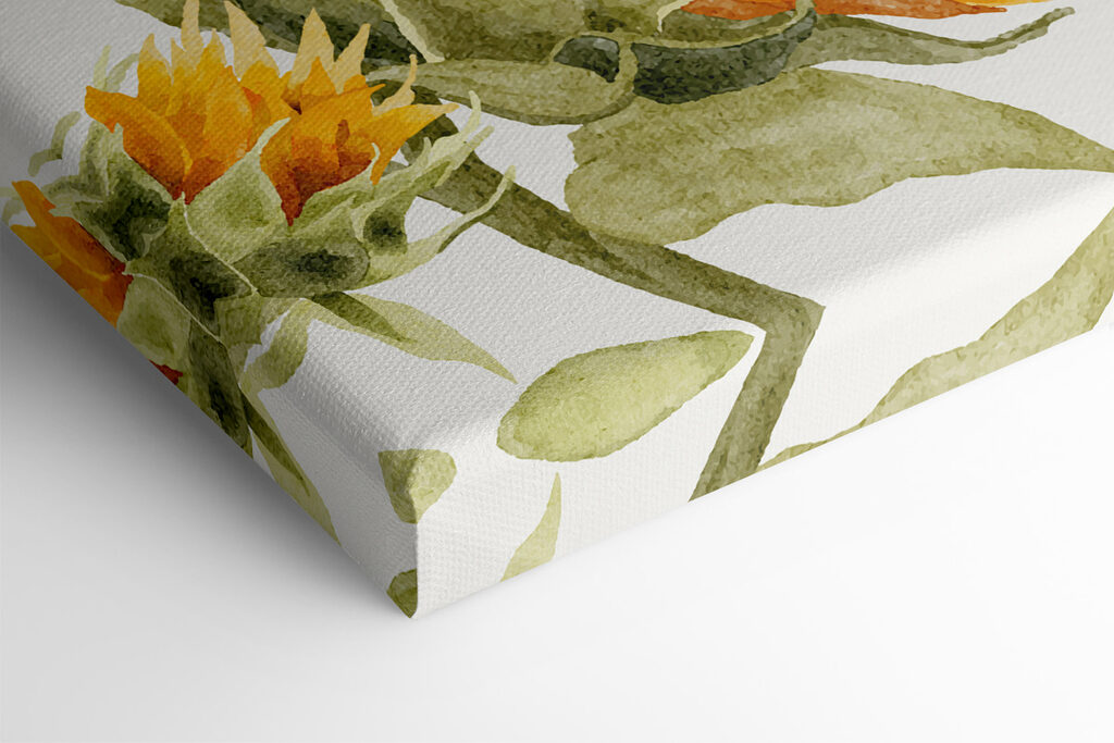 A close up of a sunflower