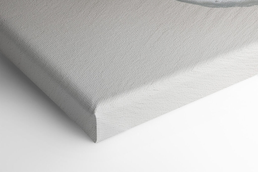 Butterflies on the water