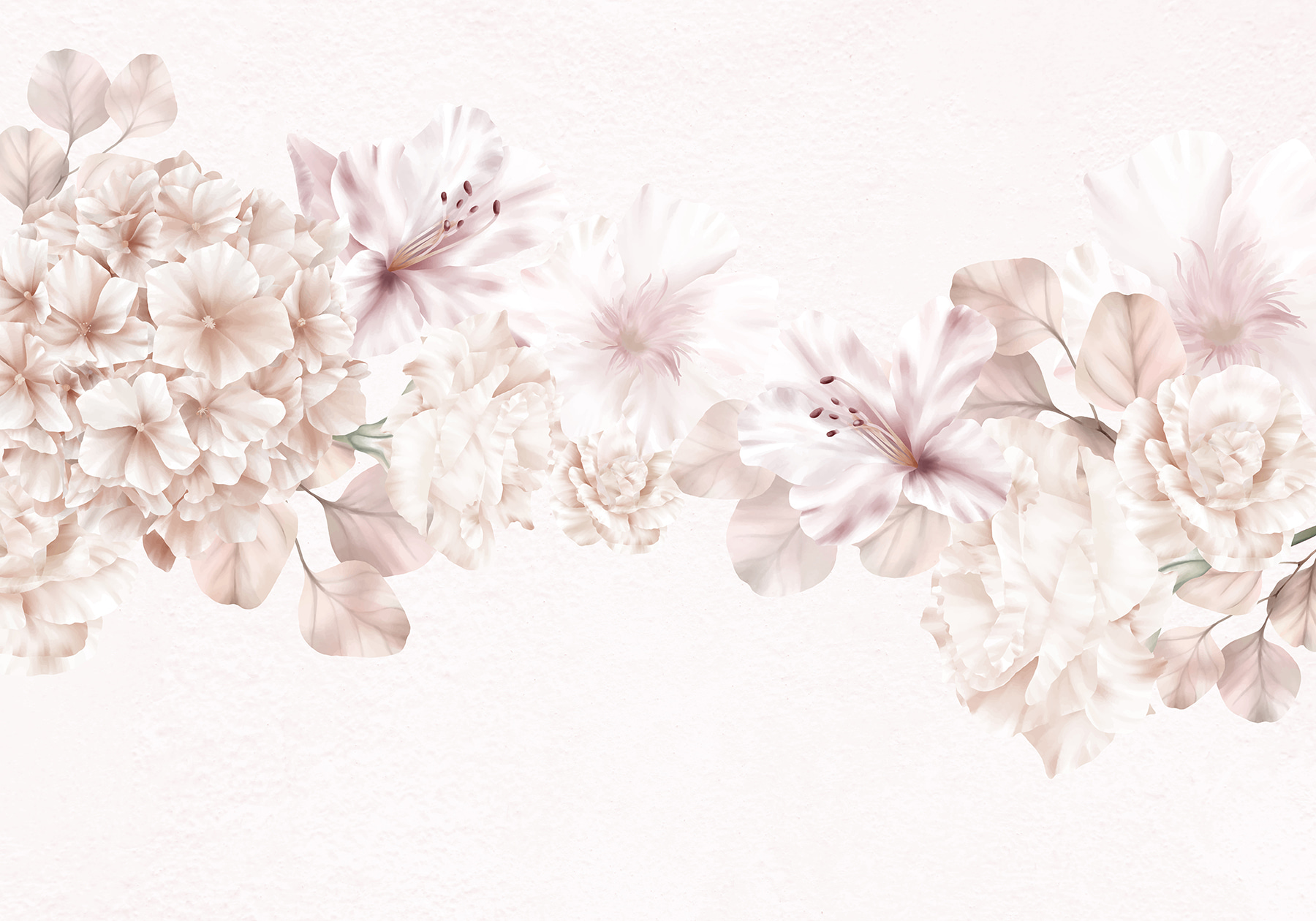 Group of flowers on a white background