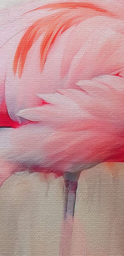 Pink flamingo with long legs Pink flamingo with long legs