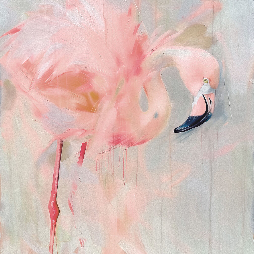 Pink flamingo with long legs Pink flamingo with long legs