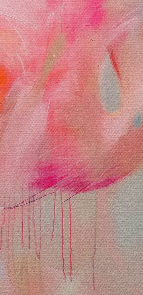 Pink flamingo with long legs Pink flamingo with long legs