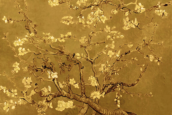 Tree with white flowers