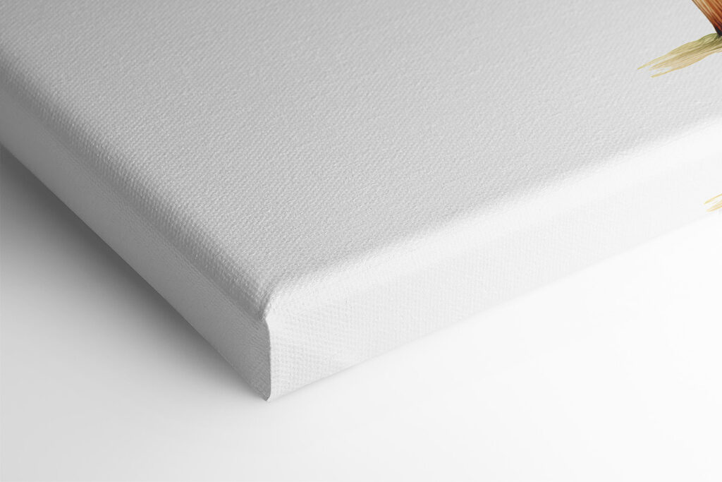 Palm tree with large leaves