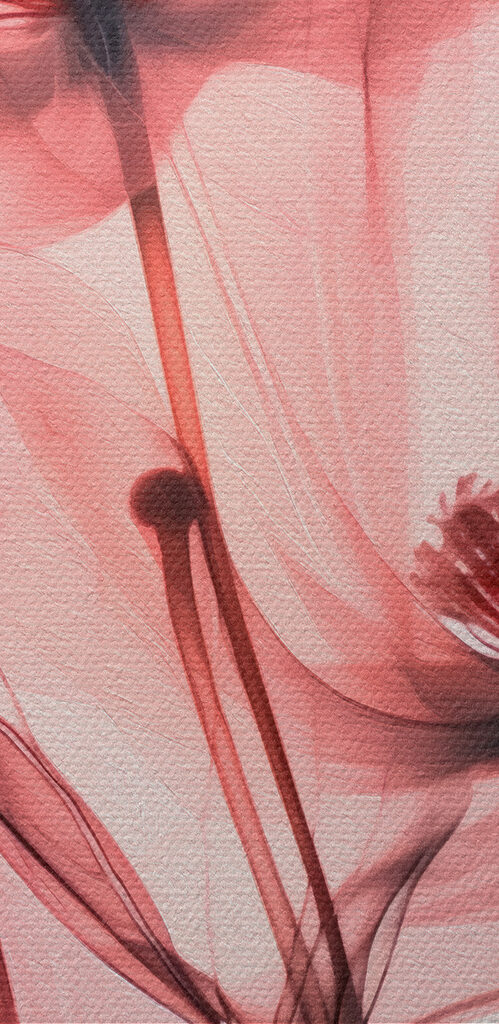 Delicate petals in soft hues Delicate petals in soft hues