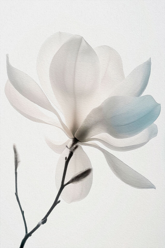 White flower with leaves