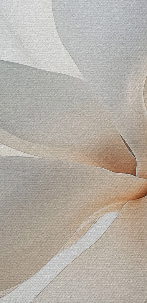 White flower with petals