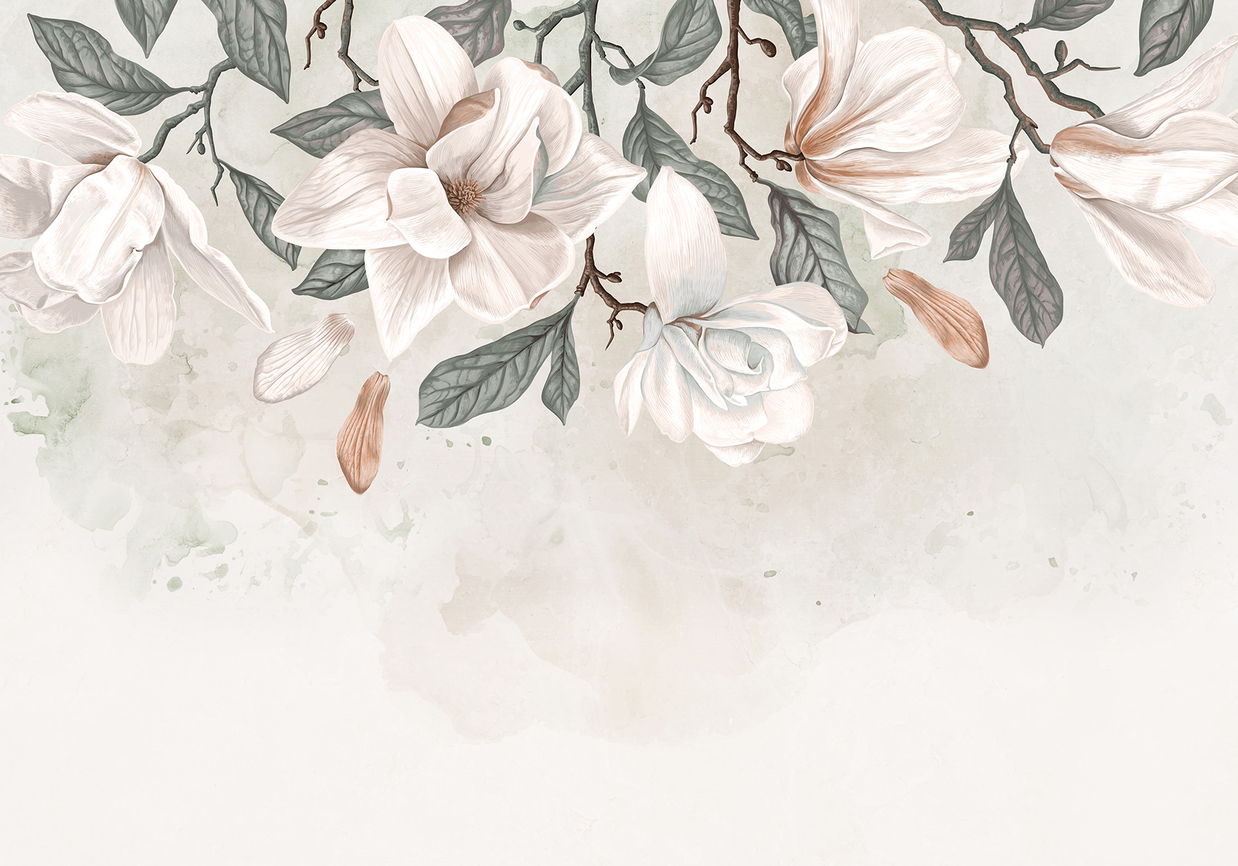 White flowers and leaves on a white background White flowers and leaves on a white background