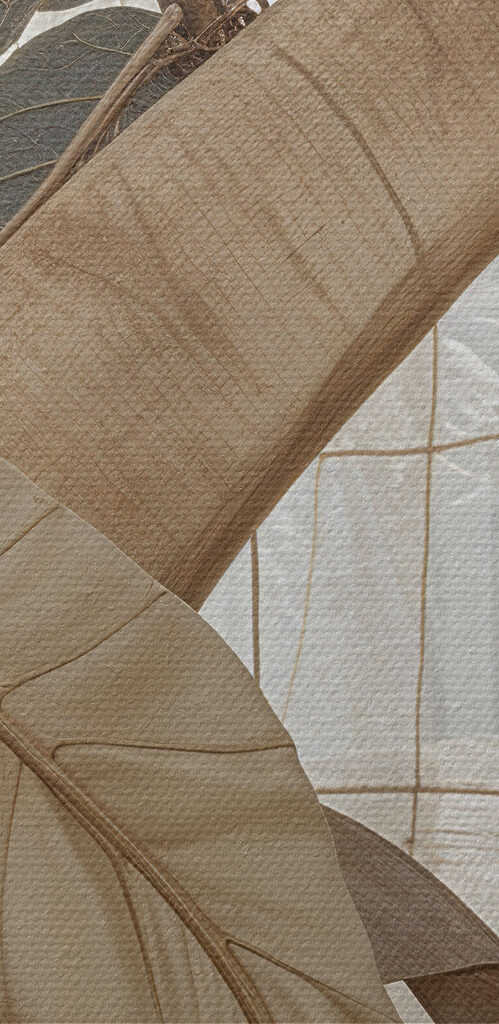Nature-inspired design with soft colors