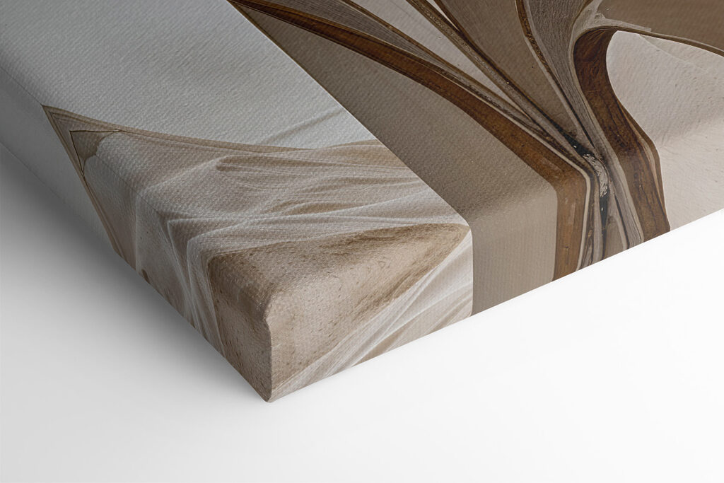 Close up of a leaf Close up of a leaf