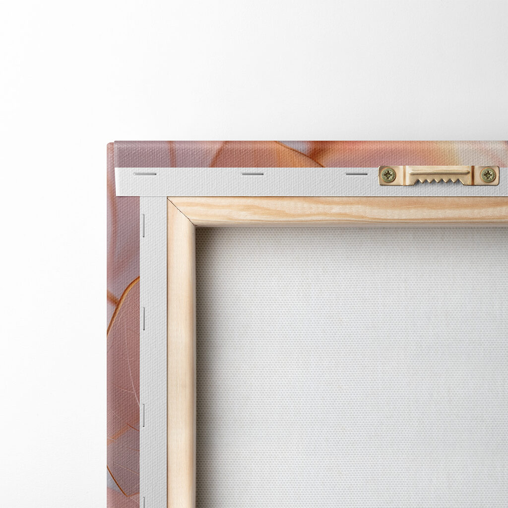 Close up of a flower Close up of a flower