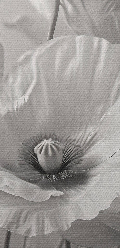 Group of white flowers