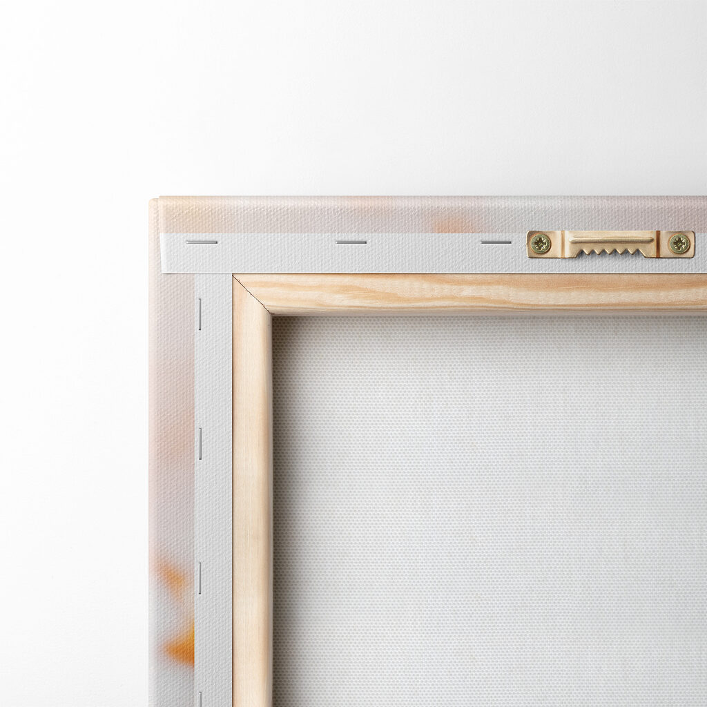 Butterfly on a flower Butterfly on a flower