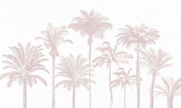 Group of palm trees