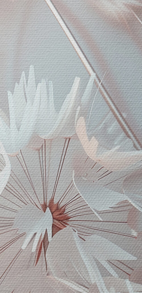 Close up of flowers Close up of flowers