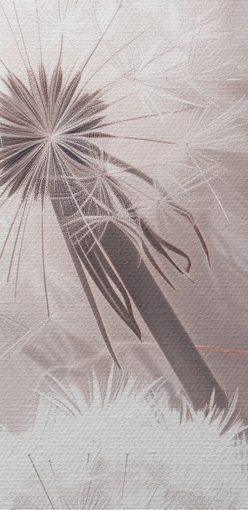 Delicate blooms against gentle hues